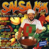 Salsa Mix (Continuous Mix) [Radio Edit] artwork