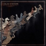 Colin Stetson - Judges