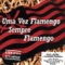 Hino do Flamengo - Junior lyrics