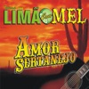 Amor Sertanejo, 2008