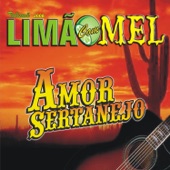 Amor Sertanejo artwork