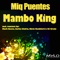 Mambo King (Mark Reeve's Enjoy The Music Remix) - Miq Puentes lyrics
