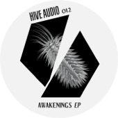 Awakenings artwork