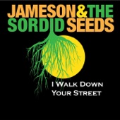 Jameson and the Sordid Seeds - Have Mercy