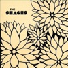 The Shapes - EP artwork