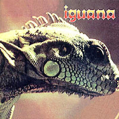 Iguana - Iguana