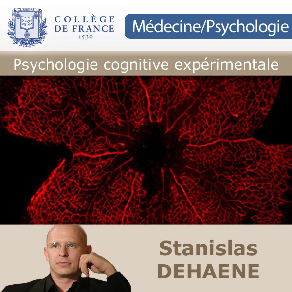 psychologie cognitive experimentale par college de france sur apple
