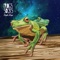 Night Kaps (Justin Jay Remix) - Frogs In Socks lyrics