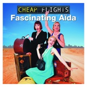 Cheap Flights artwork