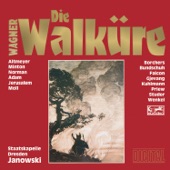 Wagner: Die Walküre (Oper in drei Aufzügen) artwork