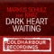 Dark Heart Waiting (Jochen Miller Remix) - Markus Schulz lyrics