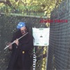 Steve Lieberman the Gangsta Rabbi - What Is Life(george Harrison)