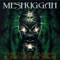 Future Breed Machine (Mayhem Version) - Meshuggah lyrics