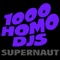 Hey Asshole! - 1000 Homo DJs lyrics