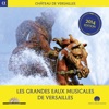 Les grandes eaux musicales de Versailles (2014 Edition)