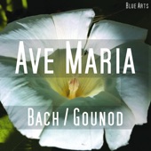 Ave Maria ( Bach , Gounod ) artwork