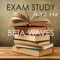 Brain Power (Sounds of Nature) - Exam Study Classical Music Orchestra lyrics