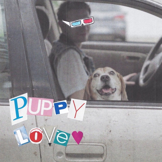 Cover artwork for Puppy Love