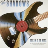 The Shadows - The Theme From 'the Deer Hunter' (Cavatina)