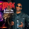 Ruff Ryders' Anthem by DMX iTunes Track 15