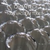 1000 Vacuum Tubes