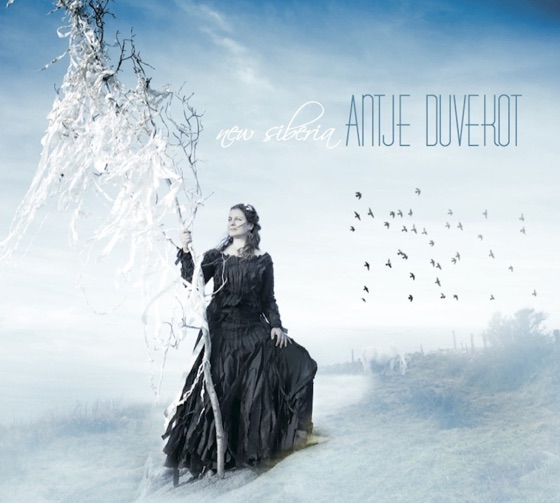 Cover artwork for Phoenix