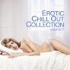 Erotic Chill Out Collection, Vol. 7