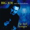Bad Luck Blues - Big Joe & The Dynaflows lyrics