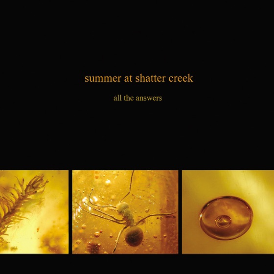 Cover artwork for Your Ever Changing Moods