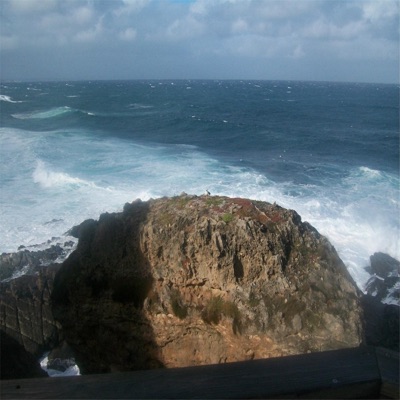 Sea - Terry Lewis