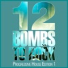 12 Bombs to Rock (Progressive House Edition 1), 2013