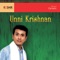 Bhavapriye Bhavani Raga - Bhavani Tala - Rupakam - P. Unnikrishnan lyrics