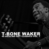 40 Sizzling Hot Classics, Vol. 1 artwork