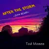 After the Storm (Remix) album lyrics, reviews, download