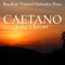 Oceano - Brazilian Tropical Orchestra lyrics