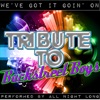 We've Got It Goin' On (Tribute to Backstreet Boys)