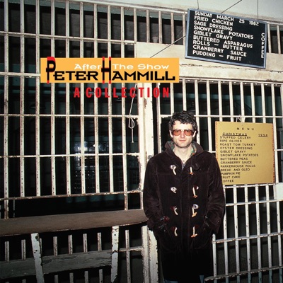 After the Show - Peter Hammill