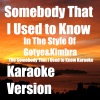 The Somebody That I Used to Know Karaoke - somebody that i used to know Karaoke