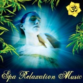 Spa Relaxation Music - Little Boats of Hope: Spa Relaxation Music (feat. Adham Shaikh)