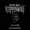 Live at 25: Silver Anniversary, 1995