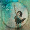 Meritage Healing: Angels (Appreciation), Vol. 15