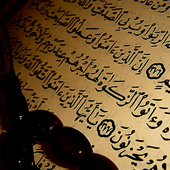El Corán Santo - Il Sacro Corano, Vol 7 - الشيخ محمد صديق المنشاوي