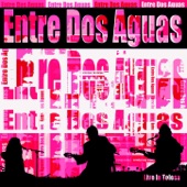 Entre dos Aguas (Live in Tolosa) artwork