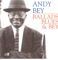 You'd Be So Nice to Come Home To - Andy Bey lyrics