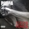 Live in a Hole - Pantera lyrics