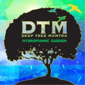 Hydrophonic Garden artwork