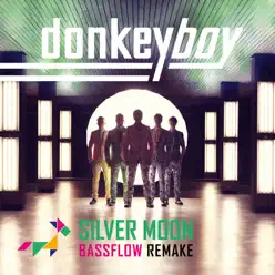 Silver Moon (Bassflow Remakes) - Single - Donkeyboy