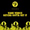 Getcha Gotta Get It (Option4 Remix) - Vane Venice lyrics