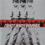 I Shot Andy Warhol (Music from and Inspired By the Motion Picture)