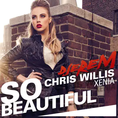 So Beautiful - Chris Willis